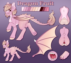 Size: 7000x6200 | Tagged: safe, artist:dewdropinn, derpibooru import, oc, oc only, oc:dragon fruit, dracony, hybrid, back, back scales, belly, butt, chest fluff, ear fluff, ears, fangs, female, gradient background, hooves, mare, paws, plot, reference sheet, shoulder fluff, solo, unshorn fetlocks, wings