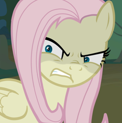 Size: 596x600 | Tagged: safe, derpibooru import, edit, edited screencap, screencap, fluttershy, mean fluttershy, pegasus, pony, g4, season 8, the mean 6, clone, crazy face, cropped, flutterbitch, growling, inverted mouth, my little pony: friendship is magic, outdoors, reaction image, solo