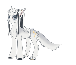 Size: 4032x3474 | Tagged: safe, artist:orcaorcaacro, derpibooru import, oc, oc only, dog, dog pony, original species, pony, dog tail, ear fluff, ear piercing, earring, ears, eyepatch, female, jewelry, mare, paws, piercing, scar, simple background, transparent background