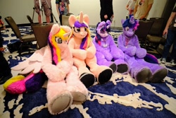 Size: 2400x1600 | Tagged: safe, derpibooru import, princess cadance, twilight sparkle, alicorn, unicorn, g4, 2025, fursuit, group, harmonycon, horn, indoors, irl, photo, ponysuit, quartet, self paradox, self ponidox, sitting