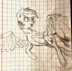 Size: 2048x2020 | Tagged: safe, artist:naafreelanceartist, derpibooru import, rainbow dash, pegasus, pony, g4, female, flying, graph paper, head turn, high res, looking away, mare, open mouth, sketch, solo, spread wings, traditional art, wings