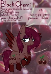 Size: 1284x1849 | Tagged: safe, artist:edgelordhedgelord, derpibooru import, oc, oc only, oc:black cherri, pegasus, pony, female, mare, reference sheet, solo