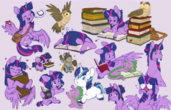 Size: 10728x6900 | Tagged: safe, artist:chub-wub, derpibooru import, owlowiscious, princess twilight 2.0, shining armor, smarty pants, spike, twilight sparkle, twilight sparkle (alicorn), unicorn twilight, alicorn, bird, dragon, owl, pony, unicorn, g4, alternate hairstyle, bibliophile, blushing, book, brother and sister, chub-wub is trying to kill us, cloven hooves, colored hooves, colored sketch, colt, colt shining armor, cute, doll, ears, eyebrows, eyebrows visible through hair, eyes closed, feathered wings, female, filly, filly twilight sparkle, floppy ears, foal, glasses, hair bun, hooves, horn, hug, lying down, male, mare, meganekko, mouth hold, multeity, multiple angles, narrowed eyes, older, older twilight, older twilight sparkle (alicorn), onomatopoeia, open book, open mouth, open smile, pigtails, prone, purple background, sad, siblings, simple background, sketch, sleeping, smiling, sound effects, sparkle siblings, sparkle sparkle sparkle, spread wings, that pony sure does love books, three quarter view, tongue, tongue out, tooth gap, toy, twiabetes, unicorn horn, unshorn fetlocks, wing hands, wing hold, wing shelter, winghug, wings, younger, zzz