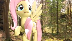 Size: 1920x1080 | Tagged: safe, artist:mlpstevepvb, derpibooru import, fluttershy, pegasus, g4, 3d, female, forest, nature, source filmmaker, tree